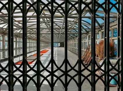 Paripesa Casino Aplicación móvil